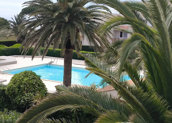 St Cyprien Avec Piscine サン・シプリアン